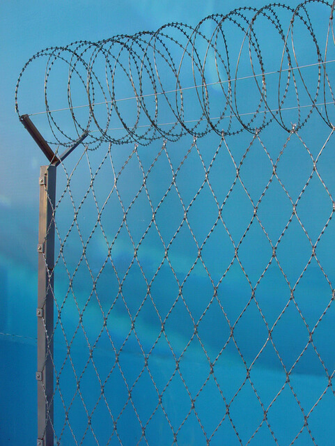 Плоское колючее ленточное заграждение ПКЛЗ «Акация» 150х300 мм