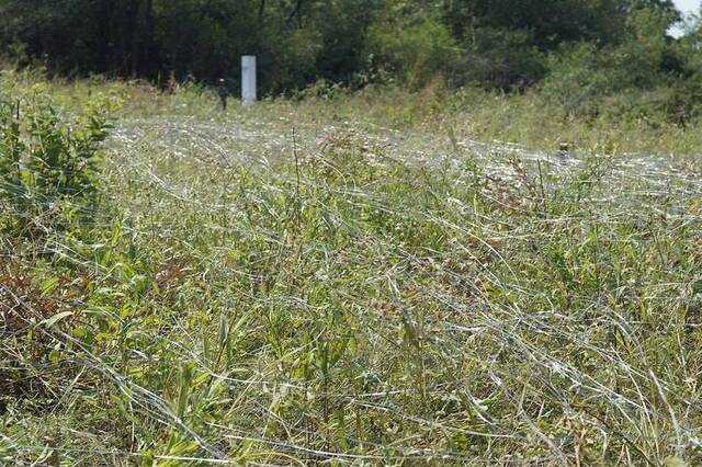 Малозаметное препятствие МЗП-2М «Путанка»